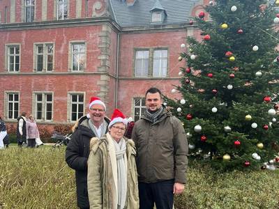 Weihnachtsbaum in Schloss Bernstorf aufgestellt