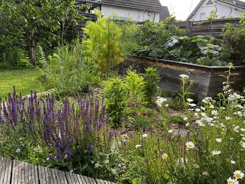 Naturnaher Garten – ein vielseitiger Lebensraum für Tier- und Pflanzenarten