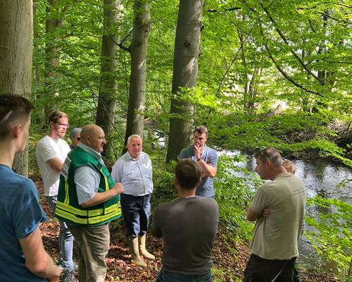 Begehung und Aufräumarbeiten am Wallensteingraben © LKNWM 20220820 Tote Fische2