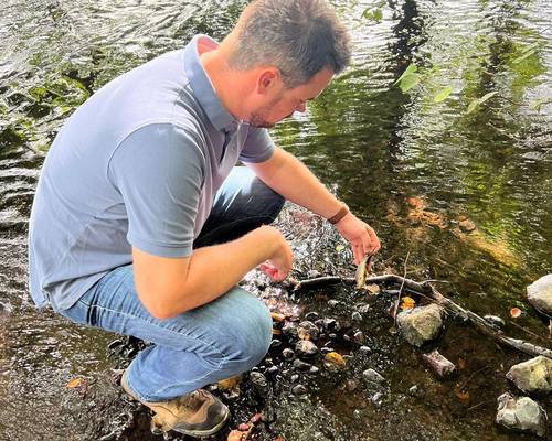 Begehung und Aufräumarbeiten am Wallensteingraben © LKNWM 20220820 Tote Fische3