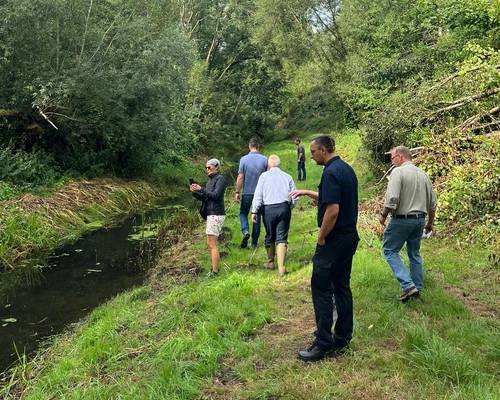 Begehung und Aufräumarbeiten am Wallensteingraben © LKNWM 20220820 Tote Fische4