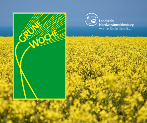Rapsfeld mit Logos
