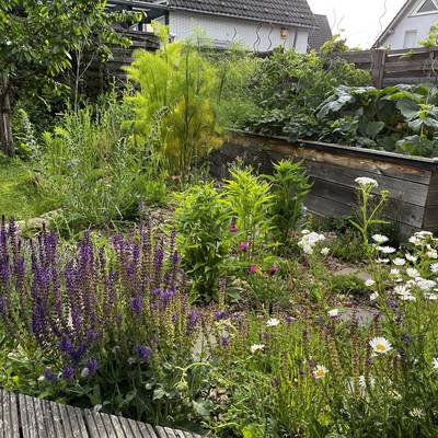 Naturnaher Garten – ein vielseitiger Lebensraum für Tier- und Pflanzenarten © Andrea Muno-Lindenau Naturnaher Garten – ein vielseitiger Lebensraum für Tier- und Pflanzenarten