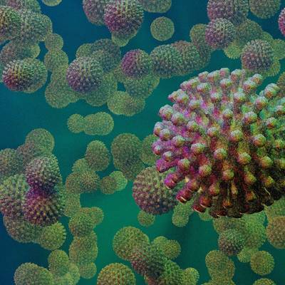 Virus-Visualisierung in 3d