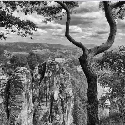 Foto Ausstellung Sächsische Schweiz
