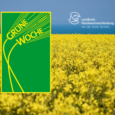 Rapsfeld mit Logos