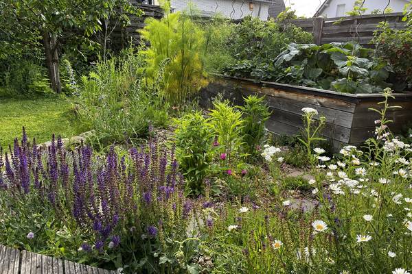 Naturnaher Garten – ein vielseitiger Lebensraum für Tier- und Pflanzenarten