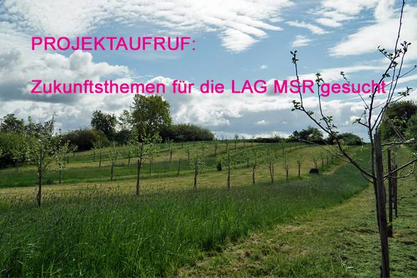 projektaufruf für 2024