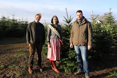 weihnachtsbäume 2022 3