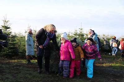 Begeistert eroberten die Kinder der Ostseekrabben eine große Tanne für die Kita
