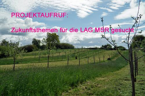 projektaufruf für 2024