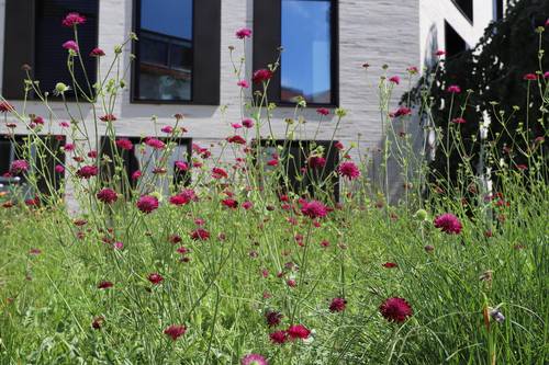 Landkreis Nordwestmecklenburg Verwaltungsgebäude Wismar