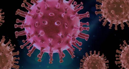 Corona-Virus