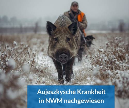 aujeszkysche krankheit