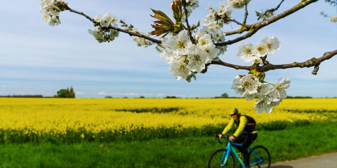 01756142679 &copy; Manfred Seibke