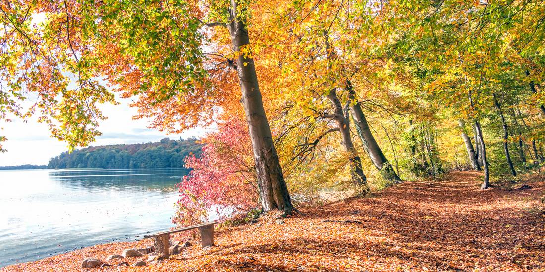 herbst in gallentin am schweriner au ensee klaus hoffmeister &copy; Klaus Hoffmeister