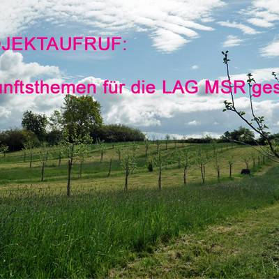 Projektaufruf © LAG MSR projektaufruf für 2024