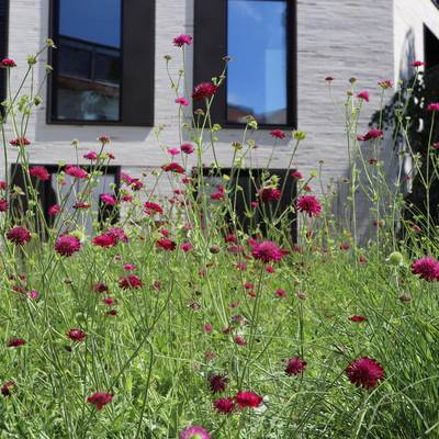 Landkreis Nordwestmecklenburg Verwaltungsgebäude Wismar