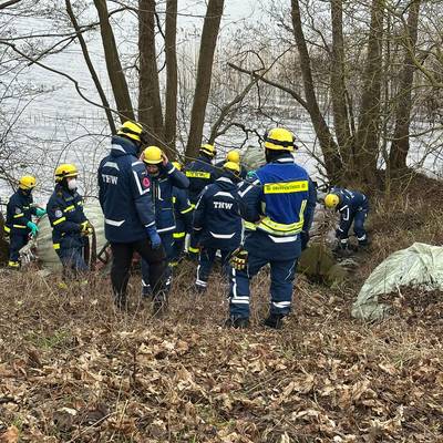 33e3f8bc 0302 4557 a4b4 2d8d1f0f28e1