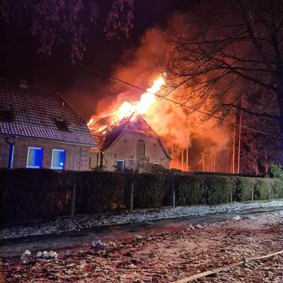 brandpokrent borck arne