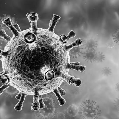 Virus schwarz röntgen © Piaxbay Visualisierung eines Virus in schwarz und grau