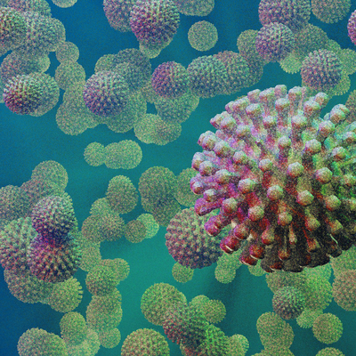 virus 10 © Pixabay Corona Viren