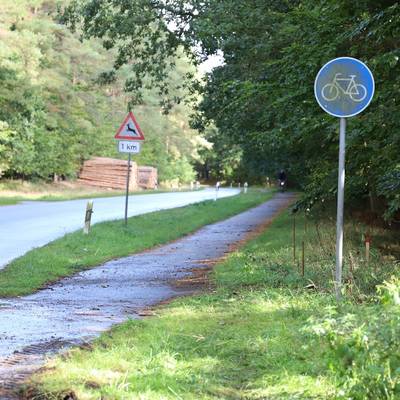 Ansicht des bestehenden Radweges