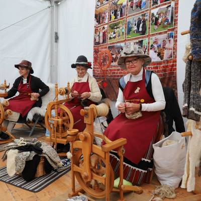 Impressionen vom Kreiserntefest