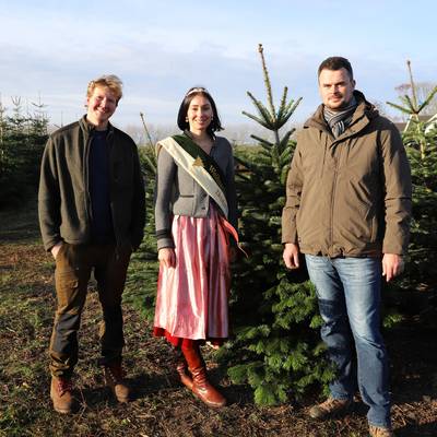 weihnachtsbäume 2022 3