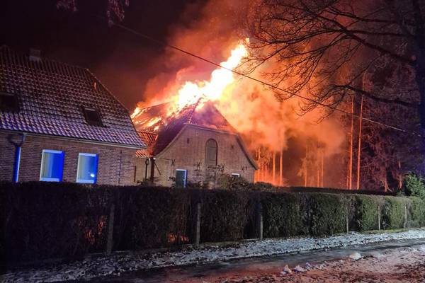 brandpokrent borck arne