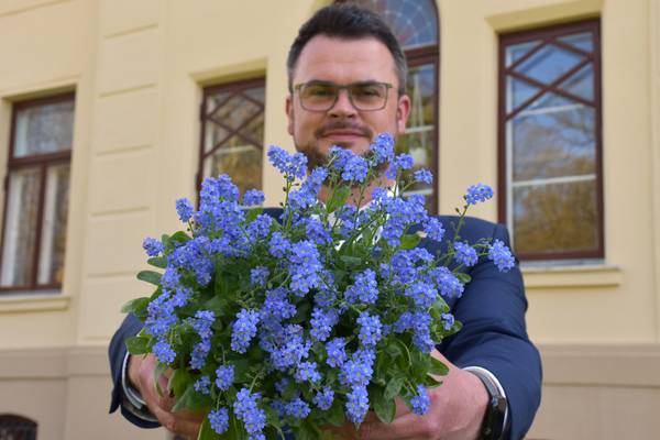 ts vergissmeinnicht lknwmhgl