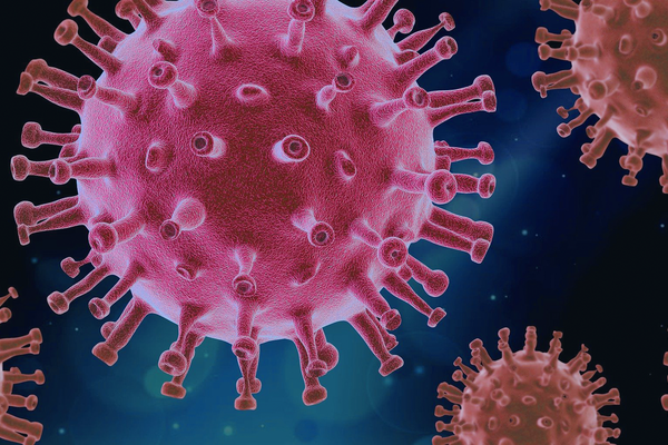 virus 1 © Pixabay