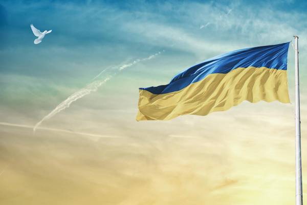 Ukraine Flagge Friedenstaube  © Pixabay